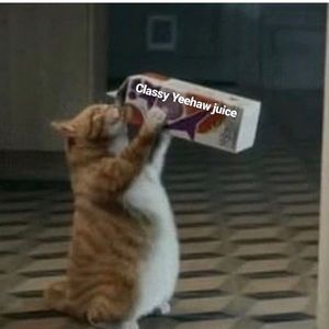 Meet your Posher, Susie